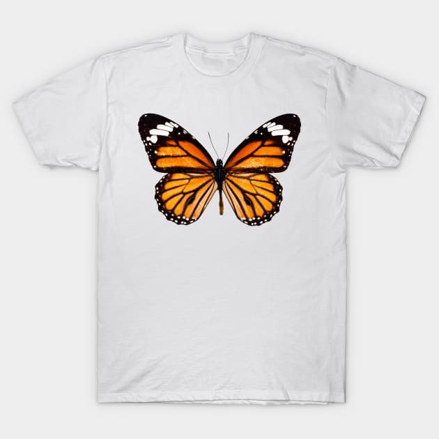 Monarch butterfly sticker T-Shirt by SouthPrints